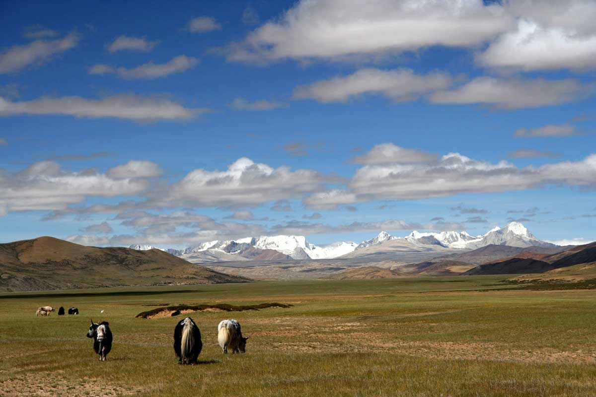 Tibet Plateau Landscape